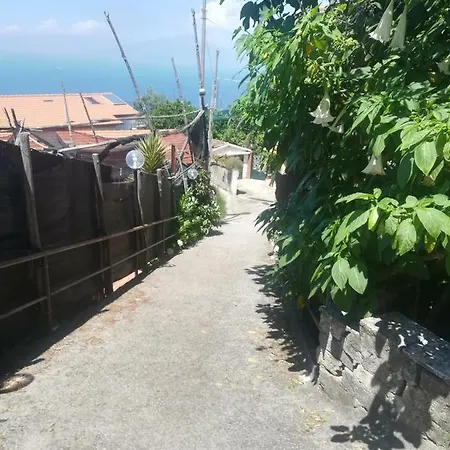Casa Vacanza L'ulivo Sorrento