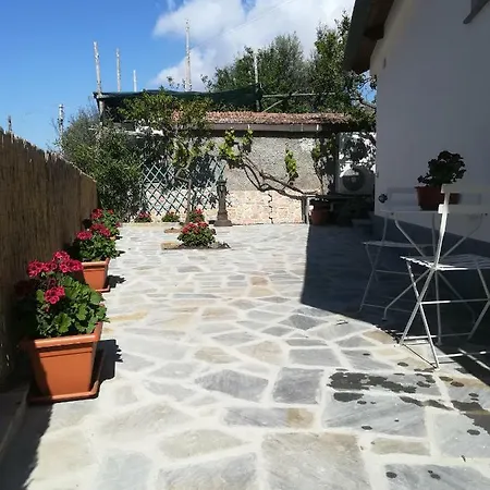 Holiday home Casa Vacanza L'ulivo Sorrento